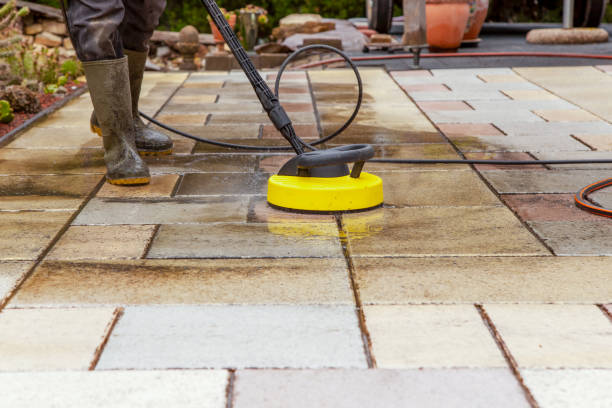 Best Animal Enclosure Cleaning  in Thonotosassa, FL
